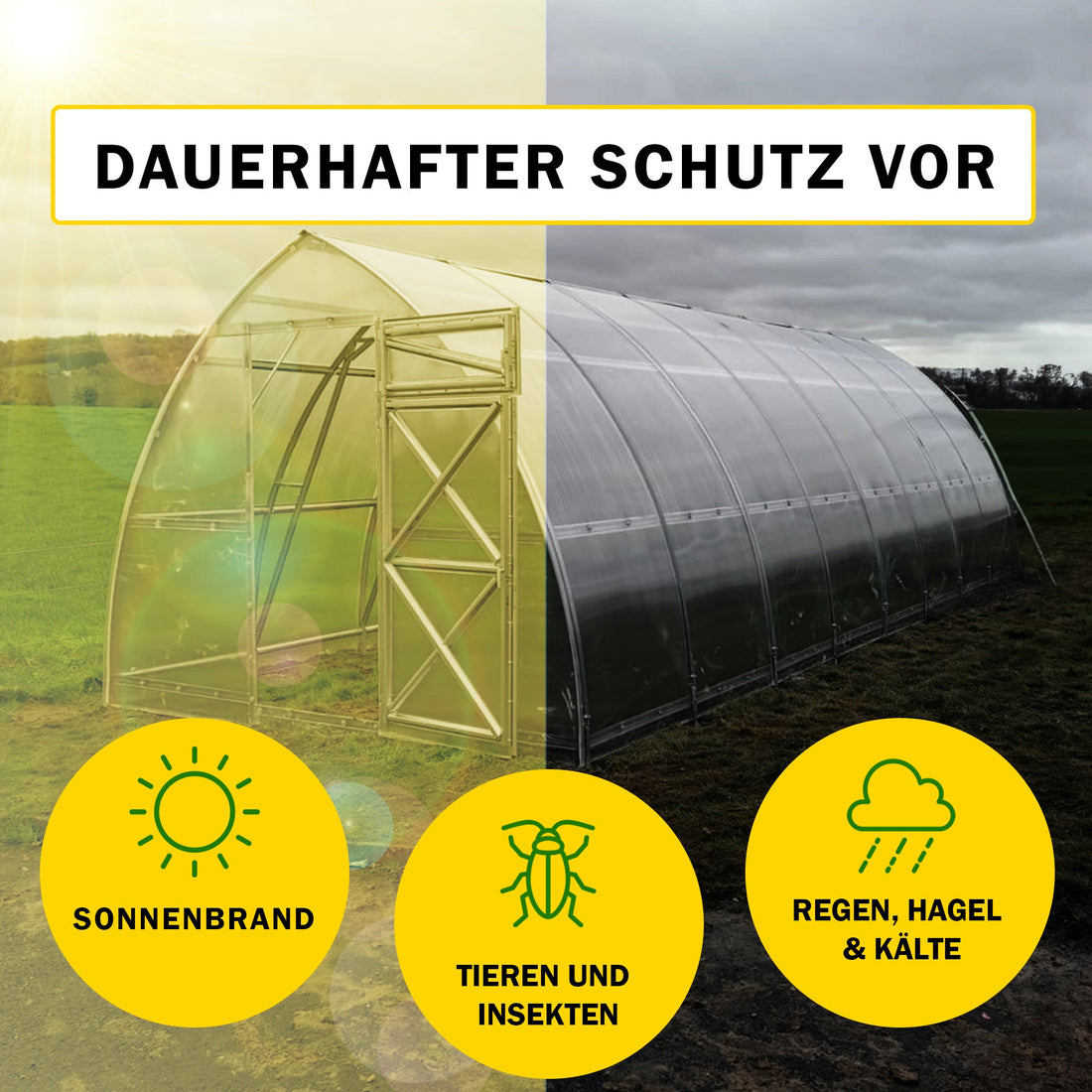 Wie erkennt man ein erstklassiges Gewächshaus?