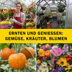 Gewächshäuser Stahl