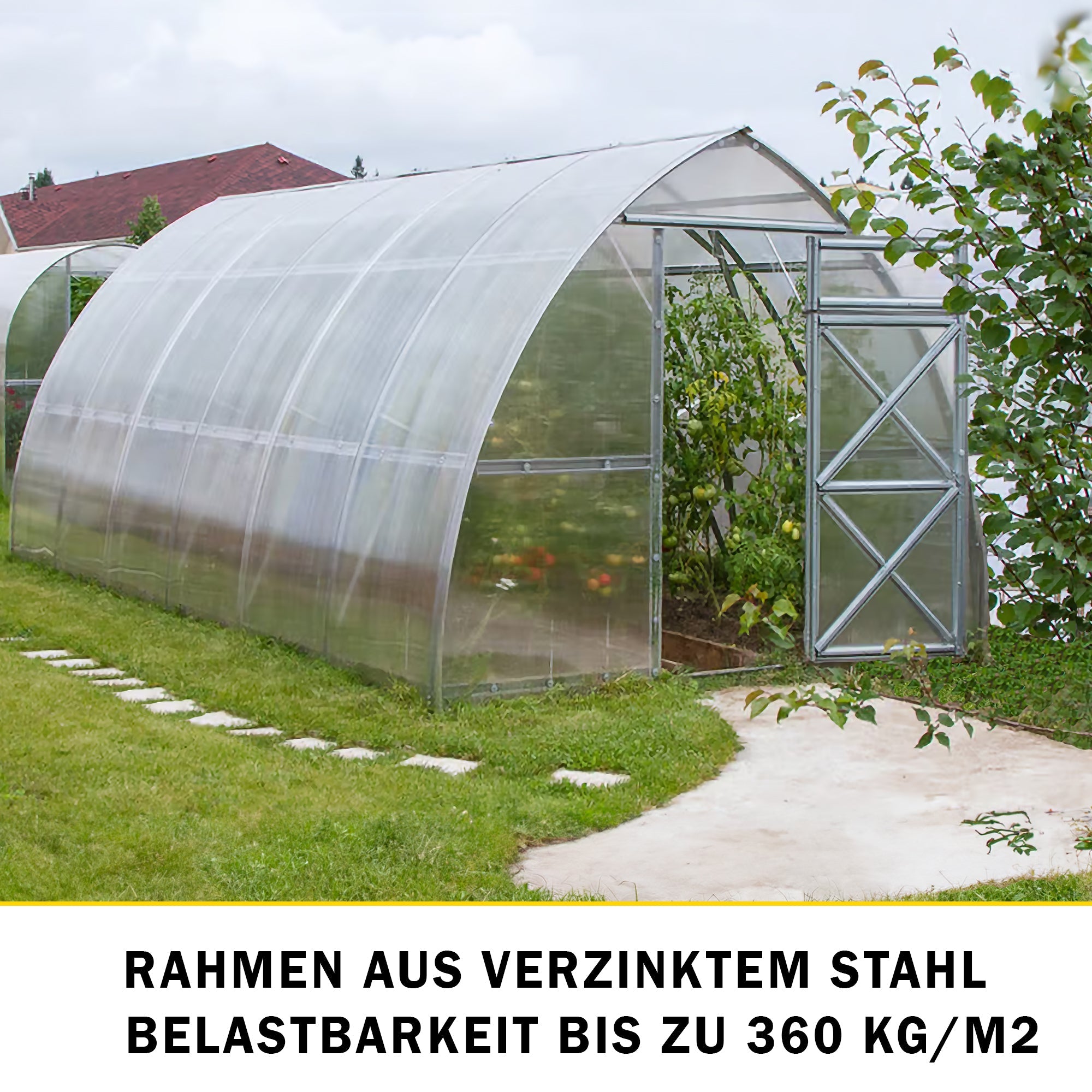 Gewächshaus Stahl