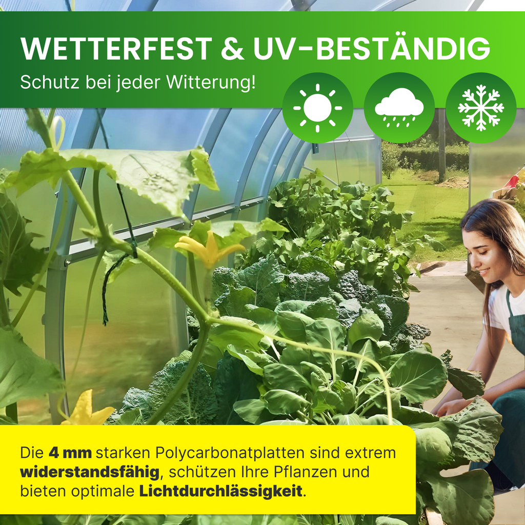 Gewächshäuschen Otto