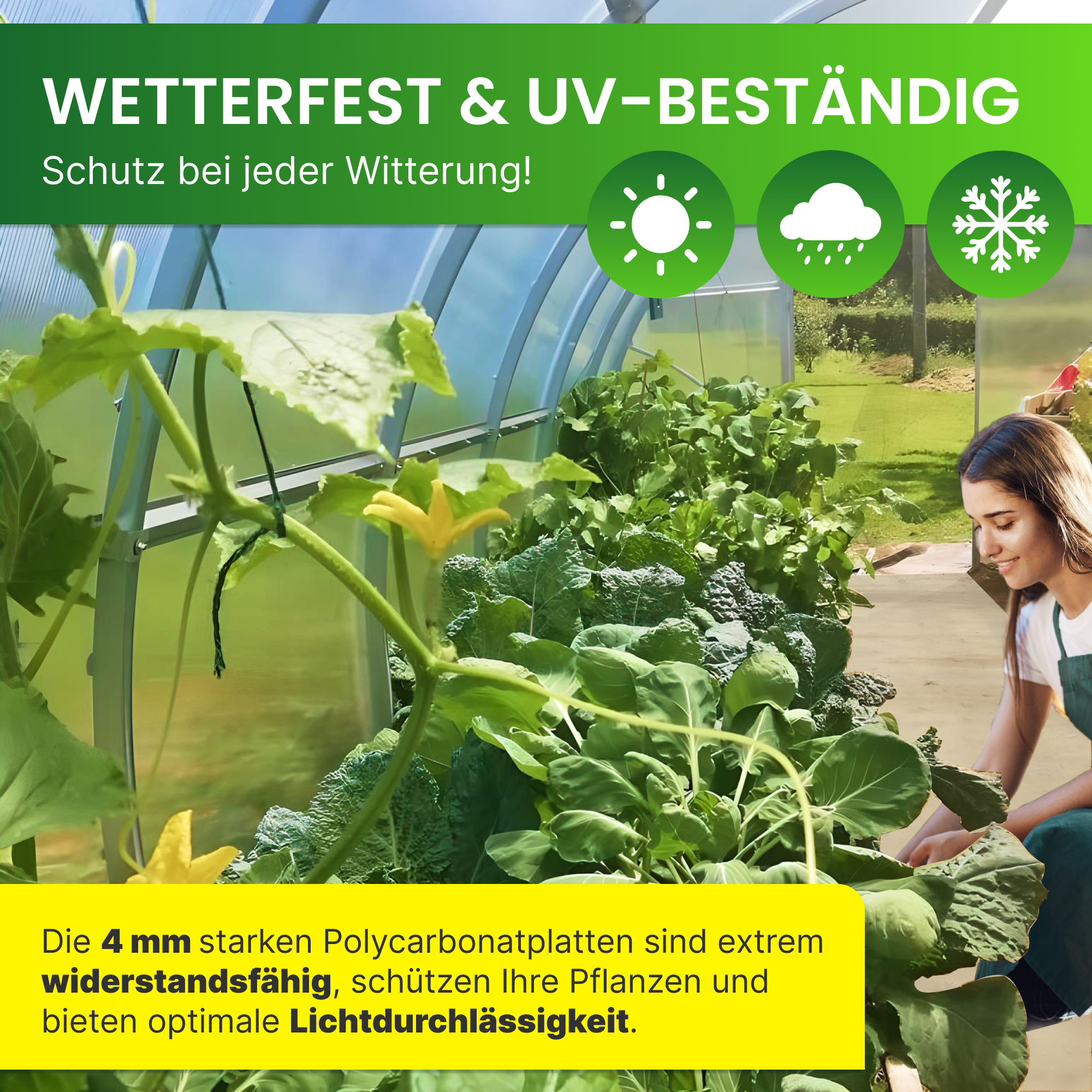 Gewächshäuser Greenhouse