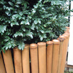 Bambusmatte DELUXE - Besonders stabiler Sichtschutz - Verschiedene Größen - Garten-On.de