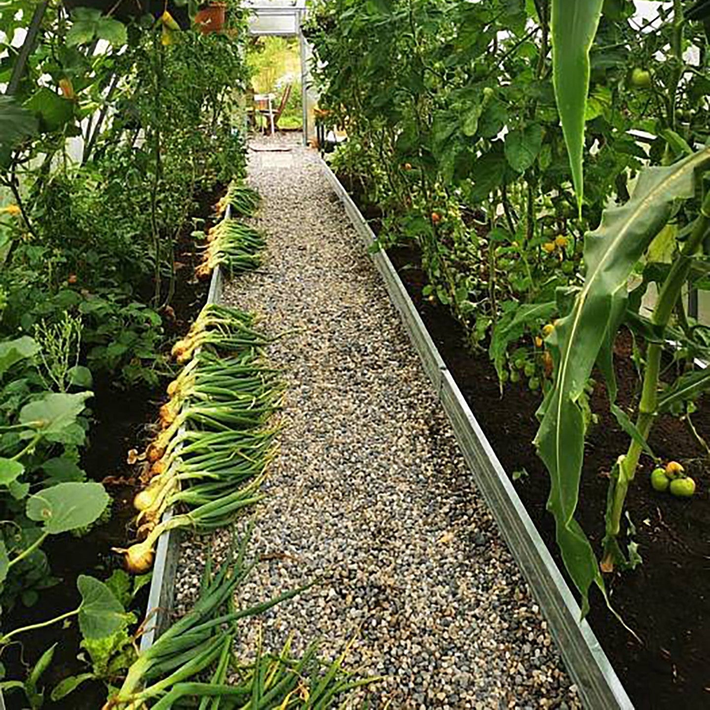 Basissatz Dein Beet B 200x100x17 cm Metall Hochbeet aus verzinktem Stahl-Garten-On.de