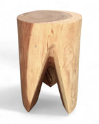 Holzhocker - Beistelltisch Blumenhocker Ablagetisch - Unikat Handgefertigt - Rund stehend aus massivem Suarholz - 45x30x30 cm - Garten-On.de