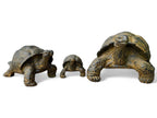 Stein Schildkröten – Pool, Garten, Terrasse - Langlebig und Wetterbeständig – Gelblich aus Glasfaserbeton – 32, 47 und 65 cm - Garten-On.de