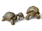 Stein Schildkröten – Pool, Garten, Terrasse - Langlebig und Wetterbeständig – Gelblich aus Glasfaserbeton – 32, 47 und 65 cm - Garten-On.de