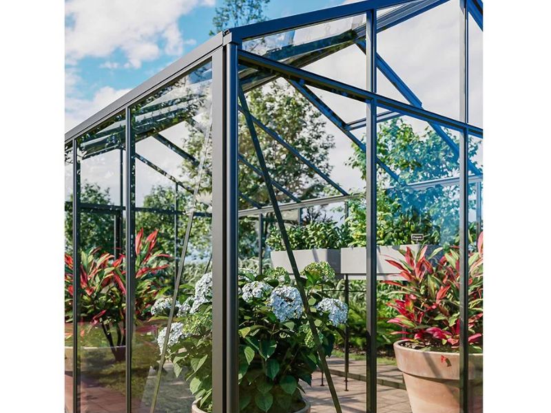 Glas-Gewächshaus Classic 235x161cm