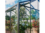Glas-Gewächshaus Classic 310x310cm