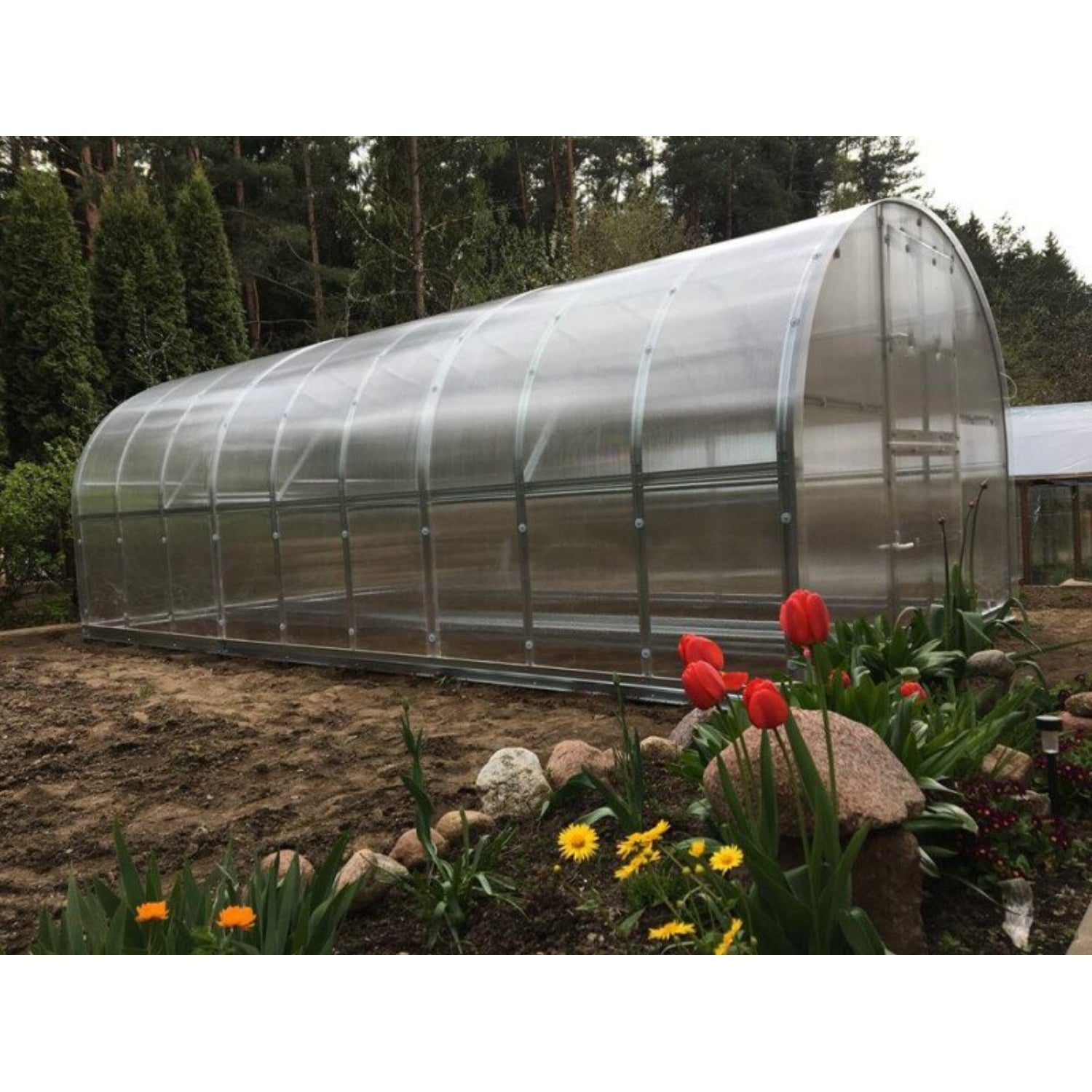 Gewächshaus KLASIKA 3 x 6 m, 18 m², verzinkter Stahlrahmen, 1 Drehtür mit Fenster Hohlkammerplatten 4 mm