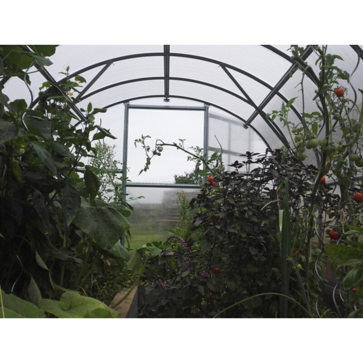 Gewächshaus KLASIKA 3 x 6 m, 18 m², verzinkter Stahlrahmen, 1 Drehtür mit Fenster Hohlkammerplatten 4 mm