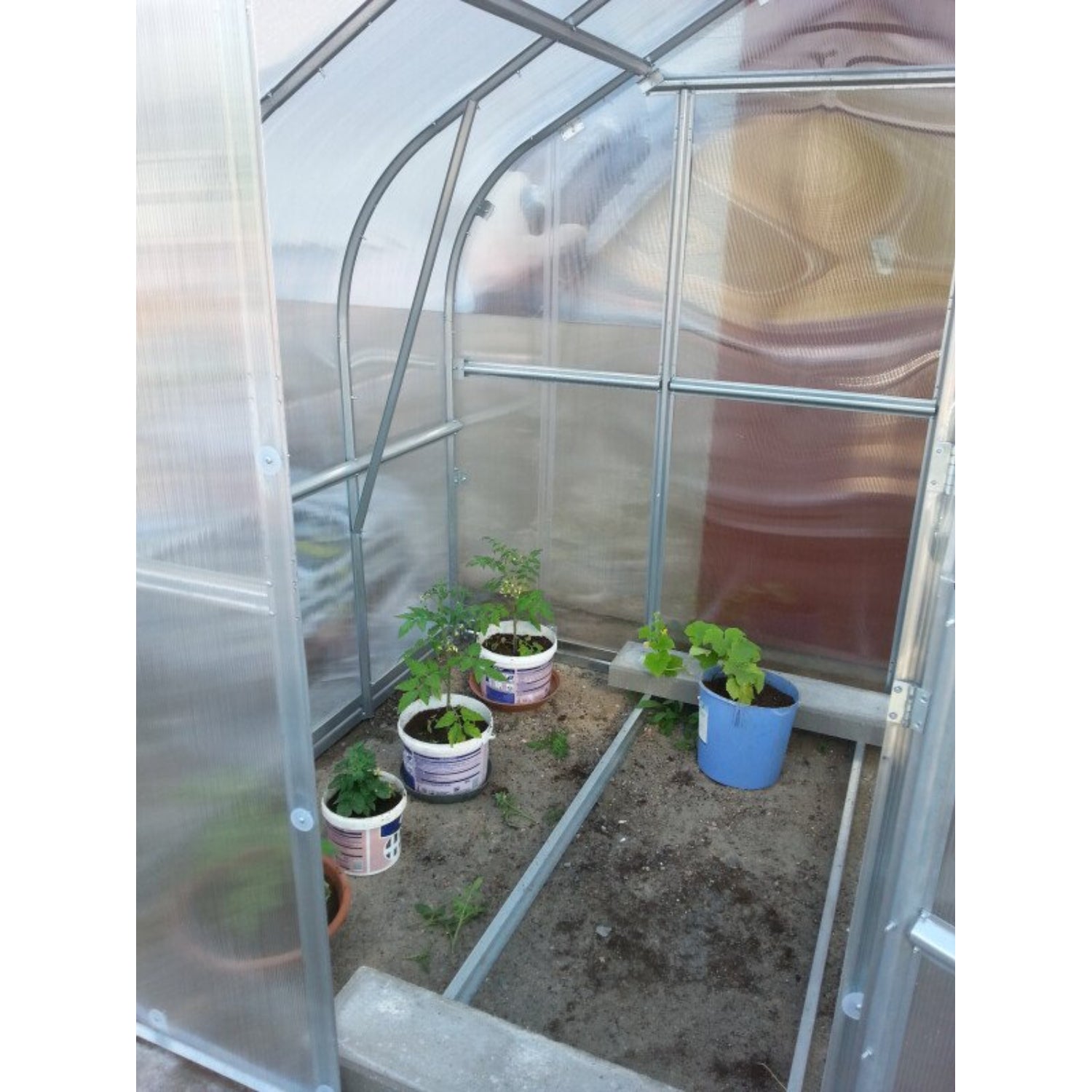 Gewächshaus KLASIKA STANDART 2,5 x 2m, 5 m², verzinkter Stahlrahmen, 1 Drehtür, 2  Fenster Hohlkammerplatten 6 mm