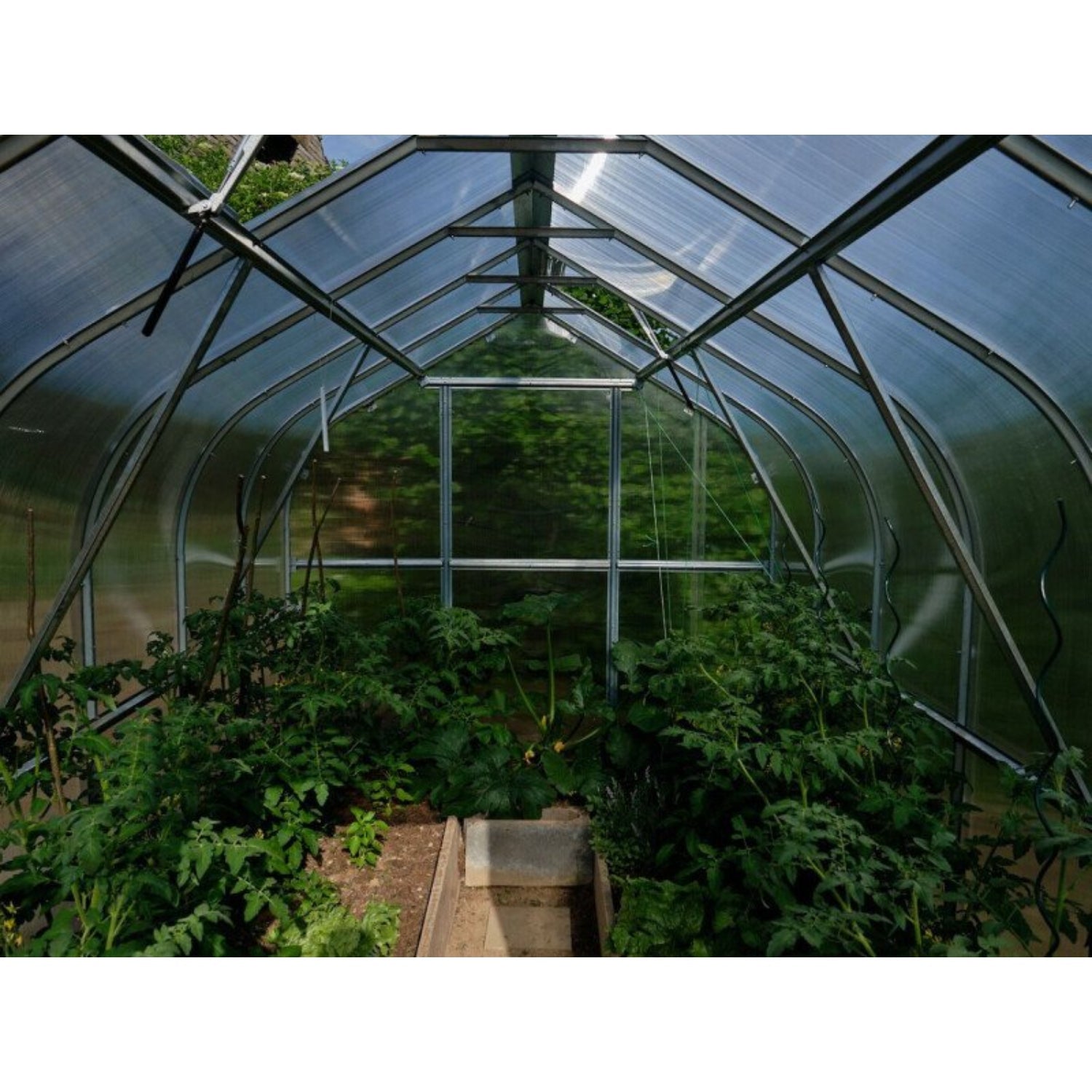 Gewächshaus KLASIKA STANDART 2,5 x 2m, 5 m², verzinkter Stahlrahmen, 1 Drehtür, 2  Fenster Hohlkammerplatten 6 mm