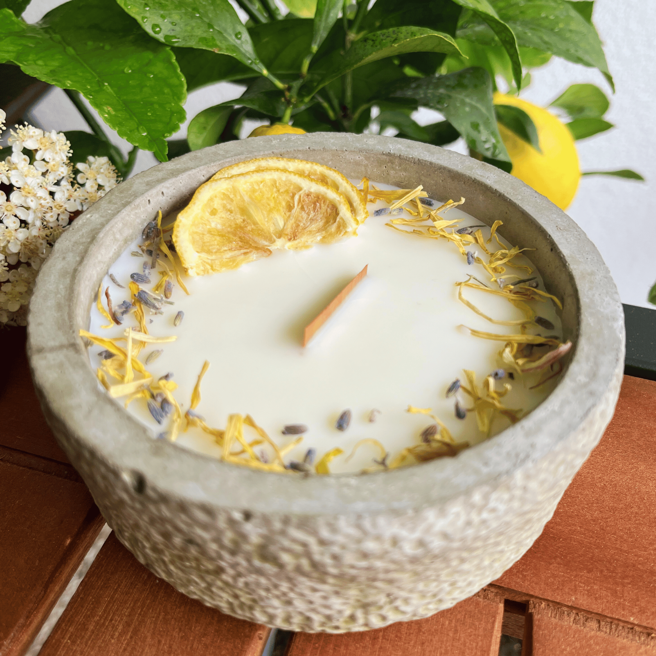 Limitierte Einzelstücke: Outdoor Citronella-Betonkerze „Mugge Schreck“ – Handgemachter Insektenschutz aus dem Südschwarzwald mit Blütenverzierung - Garten-On.de