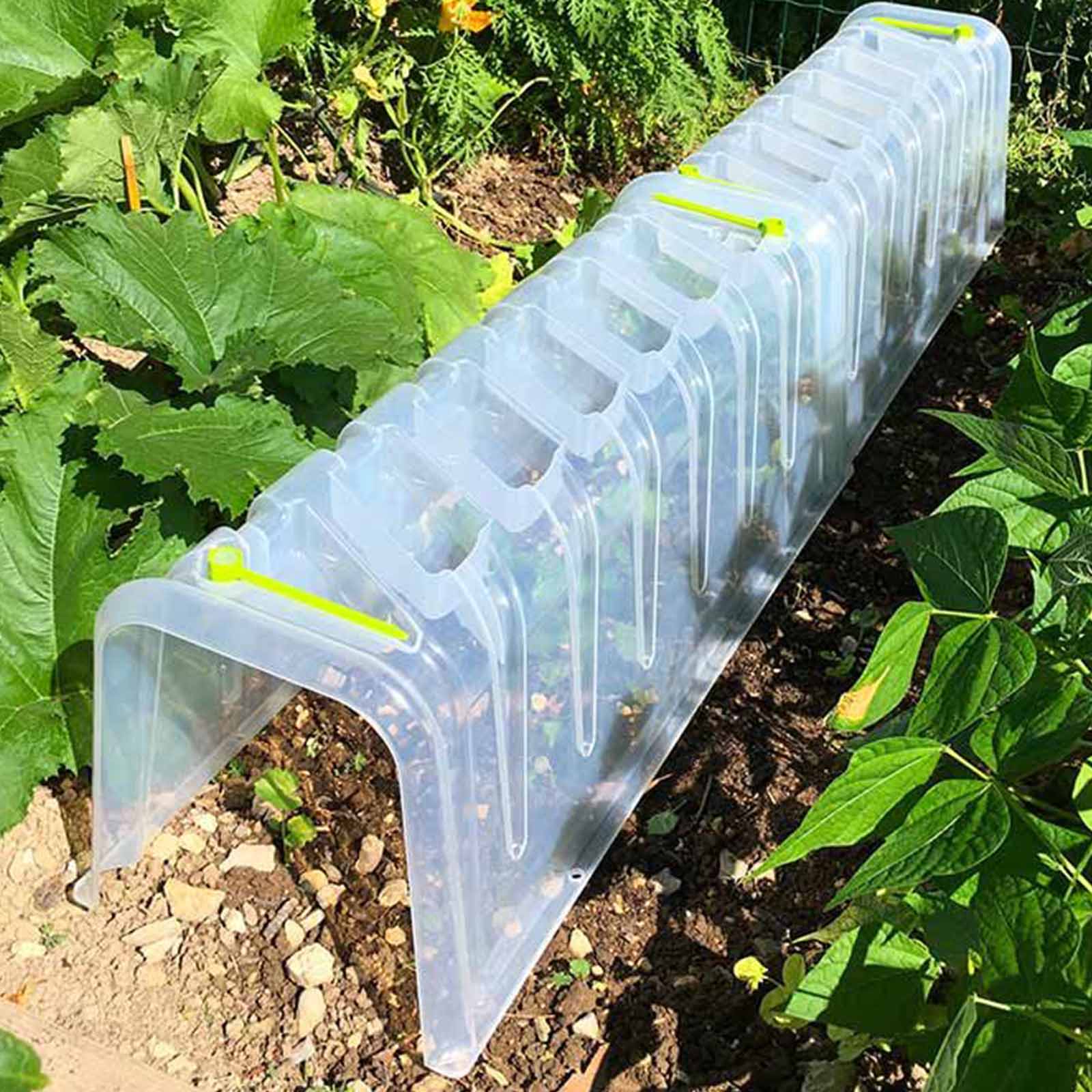 Pflanztunnel Modulo - Schützt und beschleunigt Wachstum - Garten-On.de