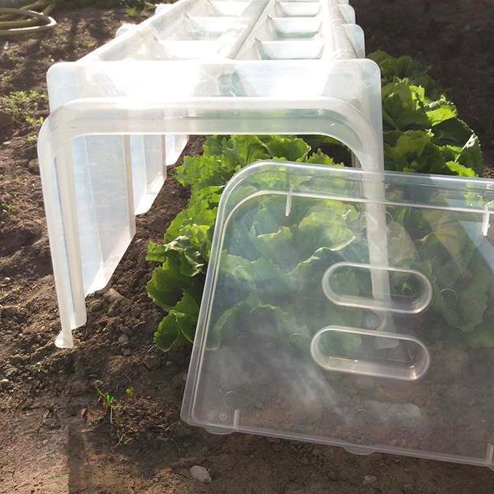 Pflanztunnel Modulo - Schützt und beschleunigt Wachstum - Garten-On.de