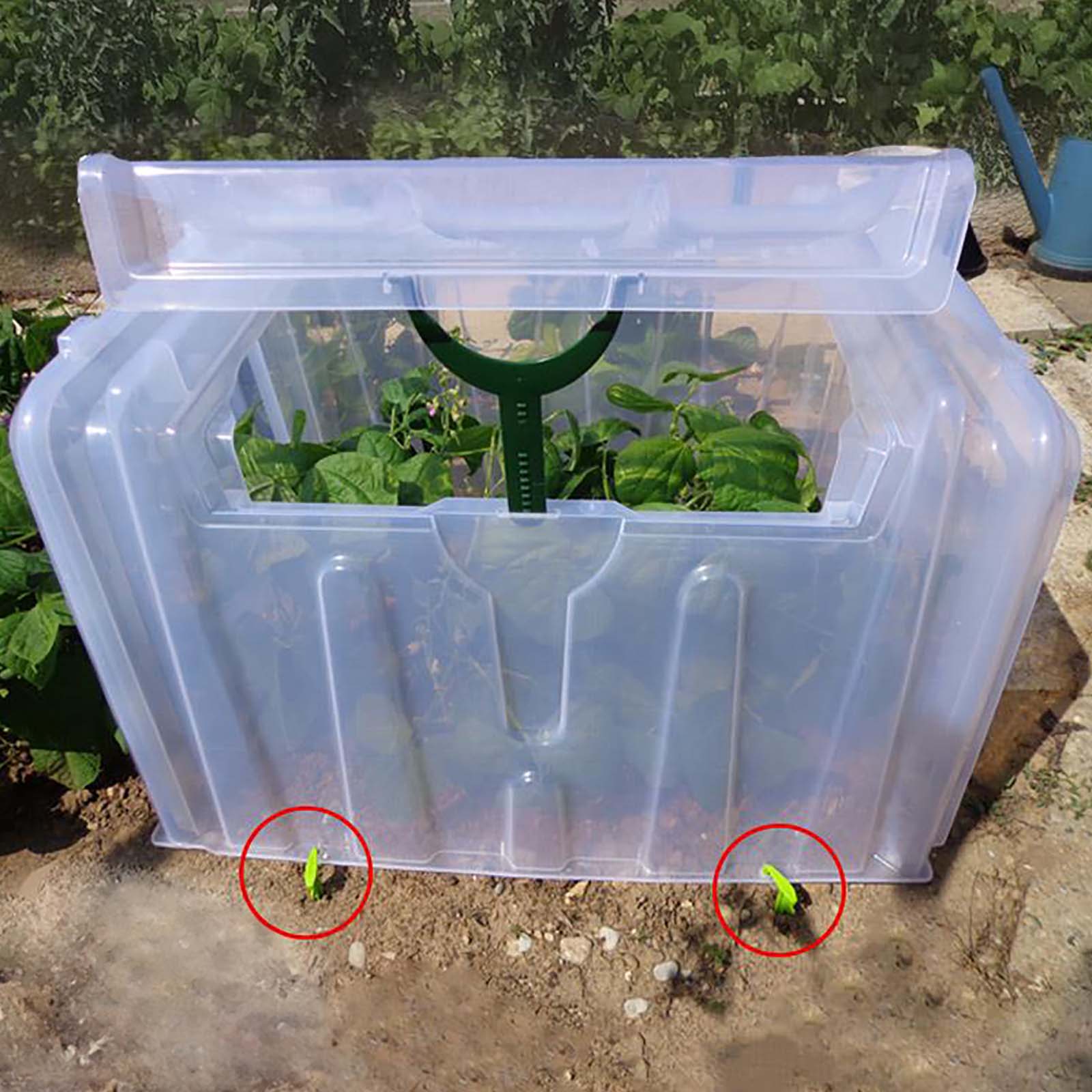 Heringe für Pflanztunnel - 25 cm - 10er-Pack - Garten-On.de