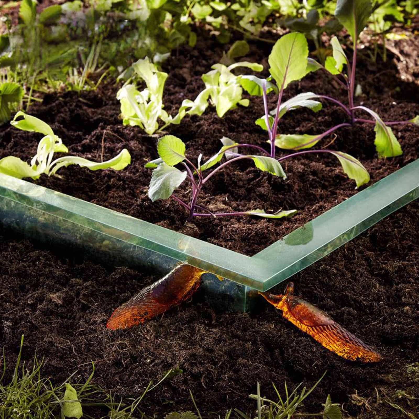 Premium Schneckenbarriere - 0,2x8 m - Garten-On.de