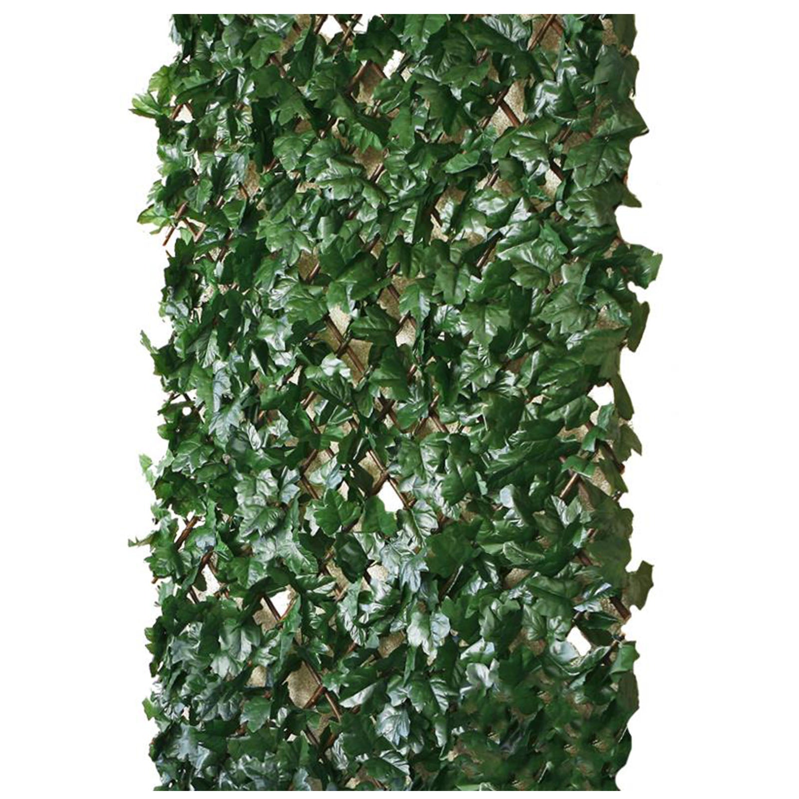 Rankhecke-Weide - 1x2 m - mit Lauboption - Garten-On.de