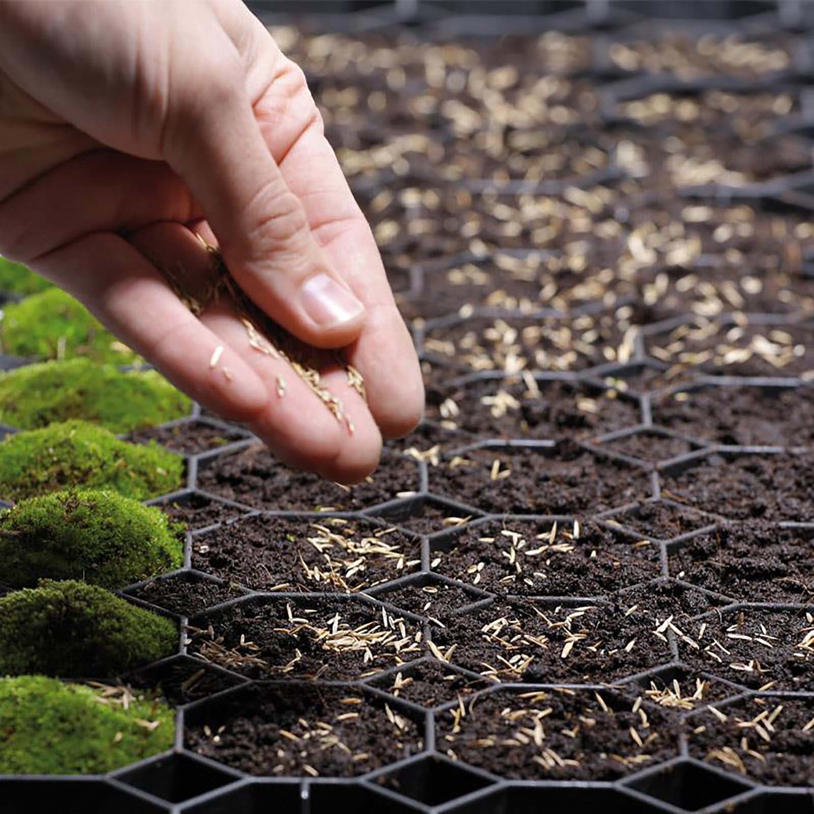 Rasengitter Stecksystem - 50 x 50 x 4 cm - Garten-On.de