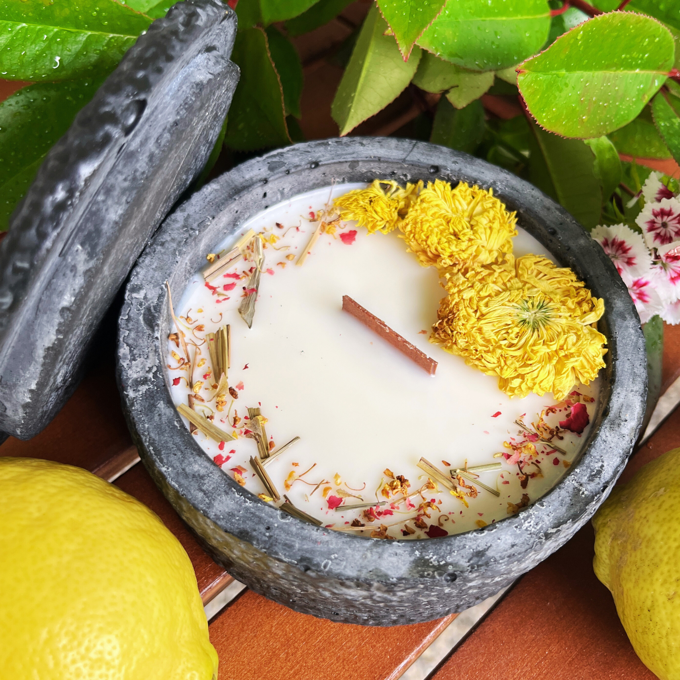 Black Edition HANDGEMACHTE Citronella BETONKERZE - Stilvolle Sojawachskerze für Ihr Zuhause. Outdoor Kerze mit Blütenverzierung und HOCHWERTIGEM Holzdocht aus dem Südschwarzwald - Garten-On.de