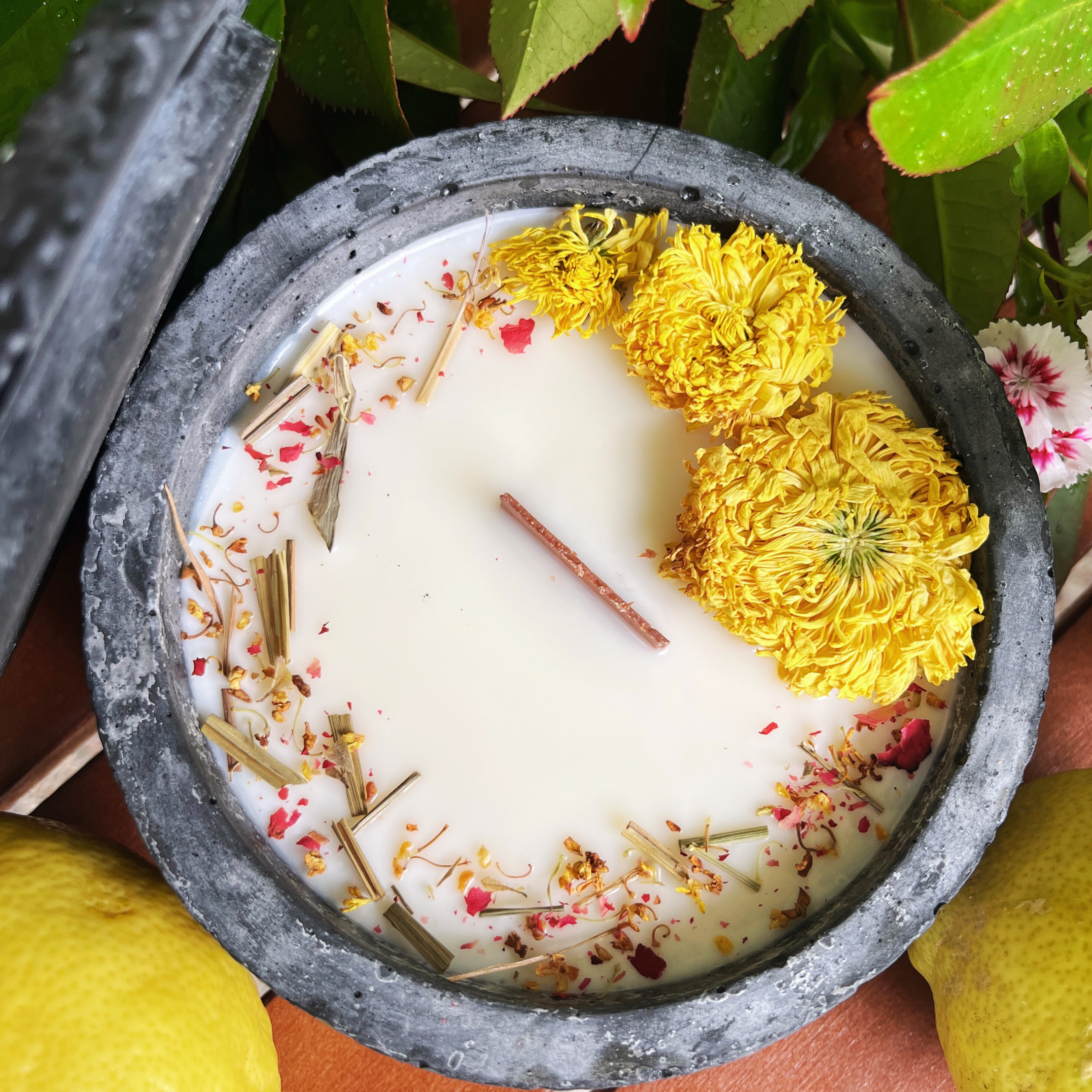 Black Edition HANDGEMACHTE Citronella BETONKERZE - Stilvolle Sojawachskerze für Ihr Zuhause. Outdoor Kerze mit Blütenverzierung und HOCHWERTIGEM Holzdocht aus dem Südschwarzwald - Garten-On.de