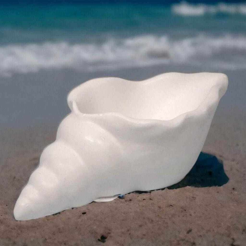 Maritime Muschel-Deko – Ein Hauch von Strand für dein Zuhause - Garten-On.de