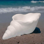 Maritime Muschel-Deko – Ein Hauch von Strand für dein Zuhause - Garten-On.de