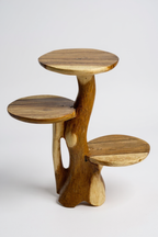 Teakholz-Regal – Natürliches Design mit einzigartiger Holzmaserung – Vielseitiges Wohnaccessoire für Pflanzen, Bücher & Deko – Verschiedene Größen - Garten-On.de