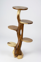 Teakholz-Regal – Natürliches Design mit einzigartiger Holzmaserung – Vielseitiges Wohnaccessoire für Pflanzen, Bücher & Deko – Verschiedene Größen - Garten-On.de