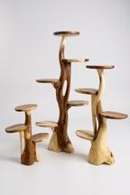 Teakholz-Regal – Natürliches Design mit einzigartiger Holzmaserung – Vielseitiges Wohnaccessoire für Pflanzen, Bücher & Deko – Verschiedene Größen - Garten-On.de